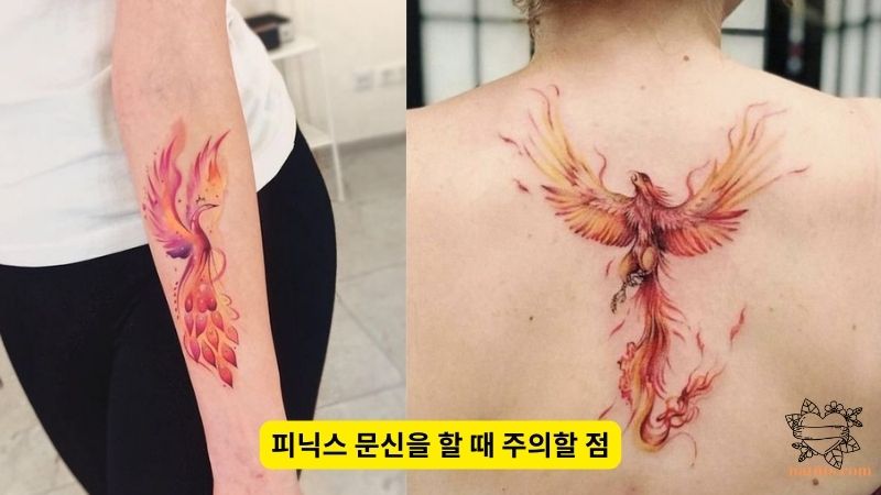 피닉스 문신을 할 때 주의할 점